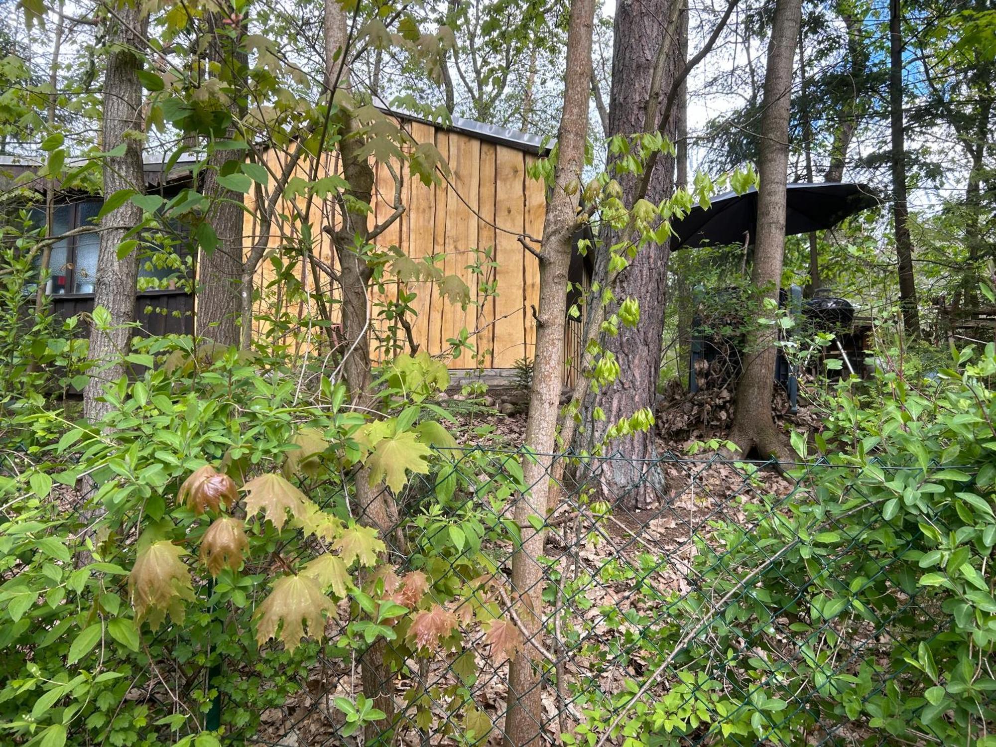 Bungalow Biberspur Zieko Экстерьер фото